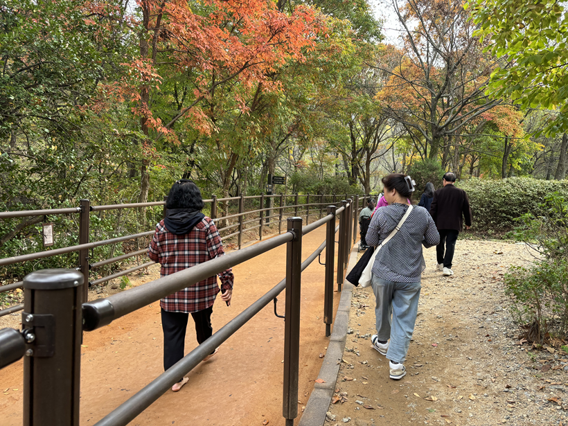 신림계곡지구 황톳길 현장 관계자 미팅 및 라운딩(2024. 11. 1.)