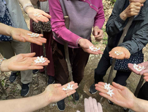 관악산 캠핑숲2